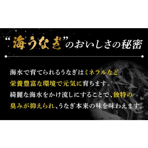 ふるさと納税 長崎県 平戸市 【お中元対象】【着日指定 可能】【日本初！海水で養殖】長崎県産おうごんうなぎ 約500g（3尾〜4尾）平戸市 ／ 松永水産 うなぎ …｜furusatochoice｜04