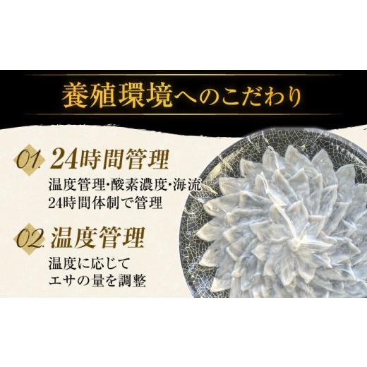 ふるさと納税 長崎県 平戸市 【着日指定 可能】活〆おうごんとらふぐ贅沢セット（4人前） 平戸市 ／ 松永水産 [KAB126]｜furusatochoice｜05