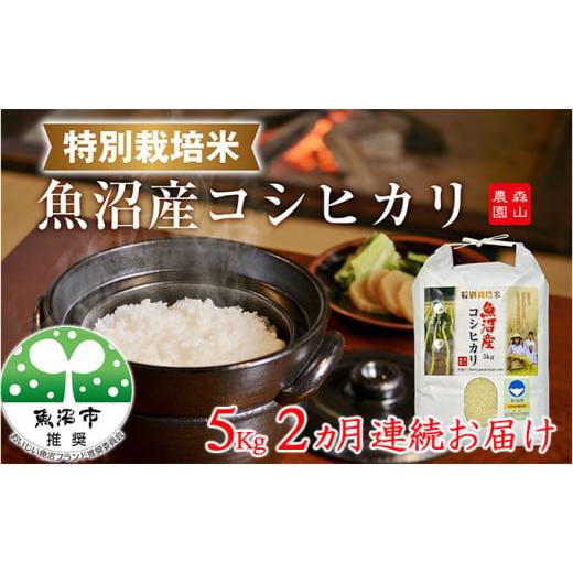 ふるさと納税 米 コシヒカリ 新潟県 魚沼市   2ヶ月連続お届け 森山農園特別栽培米魚沼産コシヒカリ(新潟県認証)5kg お米