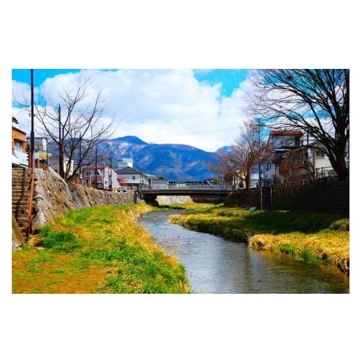 ふるさと納税 水・ミネラルウォーター 500mL〜999mL 長野県 松本市 城下町の湧き水 | 水 みず 湧き水 天然水 ミネラルウォーター 水 飲料 ペットボトル ソフト…_3