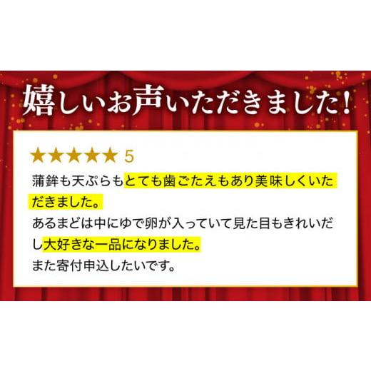 ふるさと納税 長崎県 平戸市 【着日指定 可能】【素材の味を大切に】 平戸 特選 味くらべ 7点 セット 平戸市 ／ 伊東蒲鉾店 [KAD001]｜furusatochoice｜05