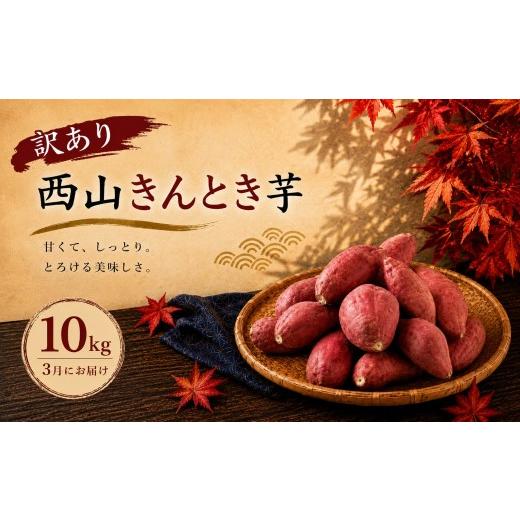 ふるさと納税 野菜類 サツマイモ 高知県 室戸市 令和9年3月お届け 西山きんとき芋(さつまいも) 訳あり 10kg ブランド芋 高知県室戸市 さつまいも サツマ…