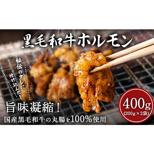 ふるさと納税 熊本県 大津町 黒毛和牛ホルモン400g(200g×2袋) ブランド牛 黒毛和種 有限会社トップルーフ[60日以内に出荷予定(土日祝除く)]