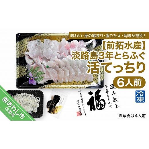ふるさと納税 フグ 兵庫県 南あわじ市  冷凍 前拓水産の淡路島3年とらふぐ（活てっちり6人前）_1