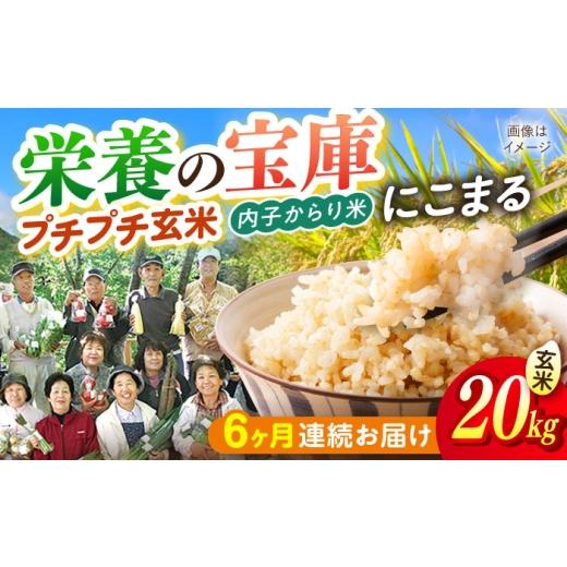 ふるさと納税 地域のお礼の品 愛媛県 内子町 玄米 6ヶ月定期便 令和7年産 内子からり米 にこまる 20kg(玄米10kg×2袋)/ お米 こめ 玄米 精米 食品 令和7年…