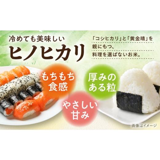 ふるさと納税 米 ヒノヒカリ 愛媛県 内子町 米 内子からり米 令和7年産ヒノヒカリ 20kg（精米10kg×2袋）／ お米 こめ 白米 精米 食品 令和7年度 ヒノヒカリ …の画像