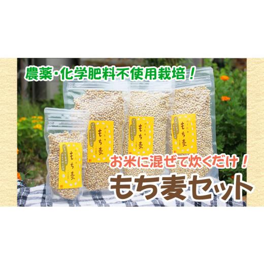 ふるさと納税 山口県 平生町 国産もち麦300g 3袋 & 100g 1袋 d10-22