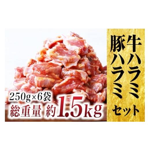 ふるさと納税 長崎県 佐世保市 E231p [濃厚 厚切り! 味付け肉]牛 ・ 豚ハラミ セット/長崎 豊味館