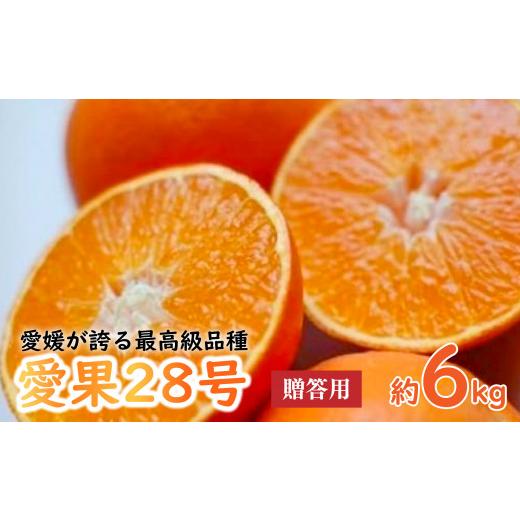 ふるさと納税 果物類 みかん 愛媛県 松山市 2026年12月上旬から順次発送 最高級品種 愛果28号 贈答用-化粧箱- 6kg(20-30個前後)あいか 贈答用 みかん 数量…