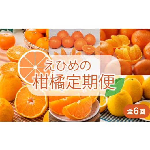 ふるさと納税 みかん・柑橘類 愛媛県 松前町 2026年11月以降毎月発送 定期便全6回 えひめかんきつ定期便 みかん 定期便 紅まどんな 伊予柑 いよかん デコポン…