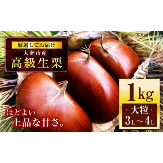 ふるさと納税 果物類 栗 愛媛県 大洲市 先行予約 9月中旬から順次発送 高級生栗 大粒 3L・4Lサイズ 1kg くり 栗 4l 国産 生栗 果物 フルーツ 栗きんとん 愛媛…