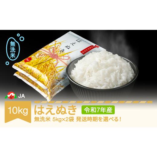 ふるさと納税 米 はえぬき 山形県 村山市 米 10kg 5kg×2 はえぬき 無洗米 令和7年産 2026年5月上旬 ja-hamxa10-5a 2026年5月上旬