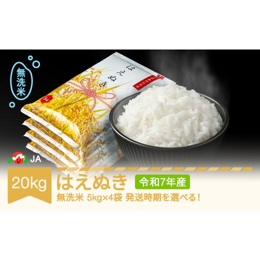 ふるさと納税 米 はえぬき 山形県 村山市 米 20kg 5kg×4 はえぬき 無洗米 令和7年産 2026年5月上旬 ja-hamxa20-5a 2026年5月上旬