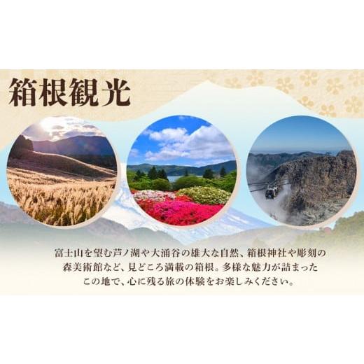 ふるさと納税 和菓子 和菓子セット・詰め合わせ 神奈川県 箱根町 和菓子 詰め合わせセット 箱根銘菓ふわふわのお餅 C | 和菓子 和菓子セット お菓子 おかし 餅…の画像