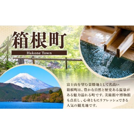 ふるさと納税 木工品・竹工品 神奈川県 箱根町 寄木小物入れ　亀甲 | 工芸品 装飾品 民芸品 木工品 寄木細工 クラフト 木製 オリジナル デザイン 手作り 箱 木…_7