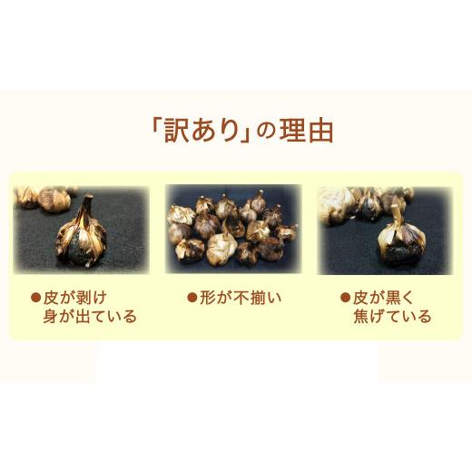 ふるさと納税 青森県 八戸市 青森県産 訳あり 黒にんにく 500g 福地ホワイト6片｜furusatochoice｜03