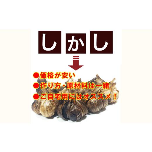 ふるさと納税 青森県 八戸市 青森県産 訳あり 黒にんにく 500g 福地ホワイト6片｜furusatochoice｜04