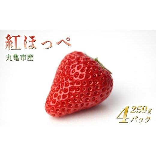ふるさと納税 いちご 香川県 丸亀市 2026年2月から発送 いちご 紅ほっぺ 1kg 250g×4パック 丸亀産 フルーツ 果物 おやつ 旬 産地直送 旬の果物 旬のフルーツ…