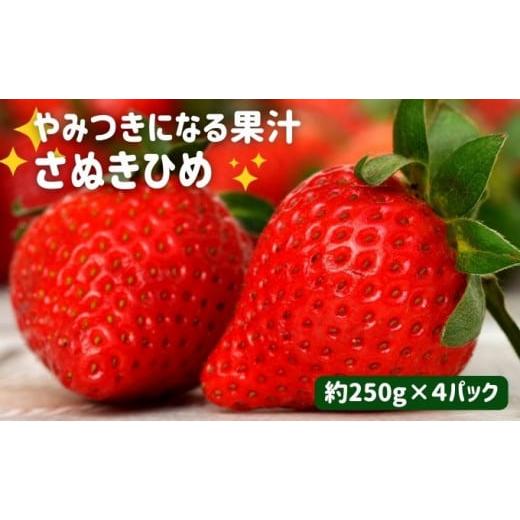 ふるさと納税 香川県 丸亀市 やみつきになる果汁 さぬきひめ苺 4パック