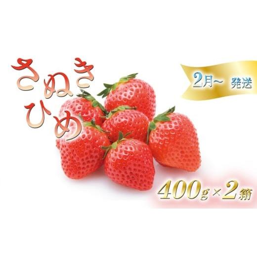 ふるさと納税 いちご 香川県 丸亀市 いちごのお姫様 さぬきひめ 2月から順次発送 選べる容量 約800g (400g×2箱) 苺 いちご 果物 フルーツ 果物 ブランド さぬ…