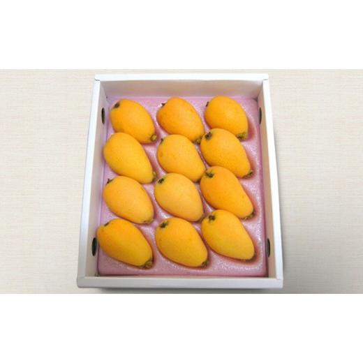 ふるさと納税 果物類 びわ 香川県 丸亀市 先行予約 びわ 約500g 7〜12粒 贈答用 なつたよりびわ 枇杷 5月下旬〜6月下旬 配送 果物 フルーツ 果実 果汁 青果 完…