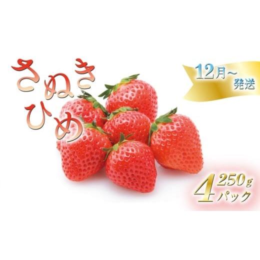ふるさと納税 いちご 香川県 丸亀市 いちごのお姫様 さぬきひめ 12月から順次発送 選べる容量 約250g×4パック 苺 いちご 果物 フルーツ 果物 ブランド さぬき…