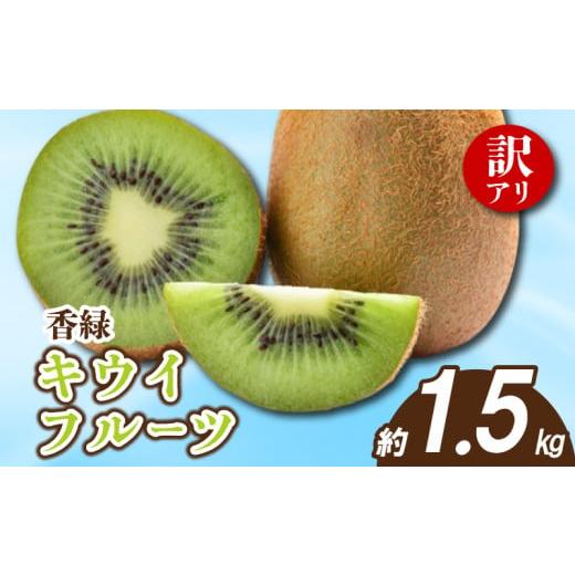 ふるさと納税 果物類 香川県 丸亀市 先行予約 キウイ 訳あり 約1.5kg キウイフルーツ グリーンキウイ サイズ混合 香緑キウイ 果物 果実 フルーツ 旬 デザート …