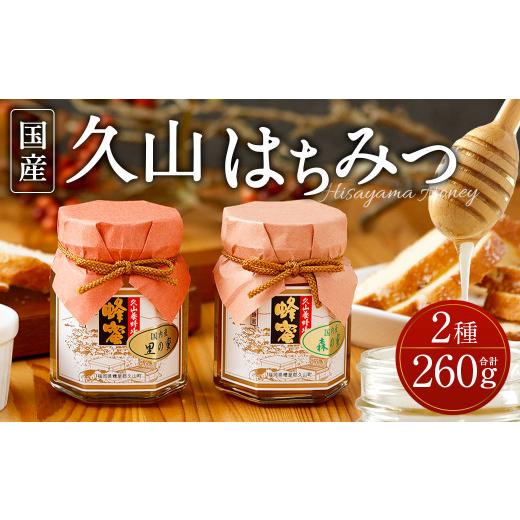 ふるさと納税 加工品等 はちみつ 福岡県 久山町 久山はちみつ 2種 国産