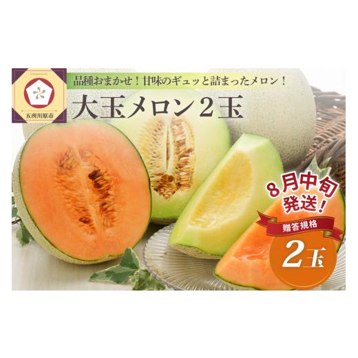 ふるさと納税 メロン メロン青肉 青森県 五所川原市 2026年8月中旬発送 津軽産贈答規格メロン大玉2個 青森メロン 8月中旬発送(11日~20日)