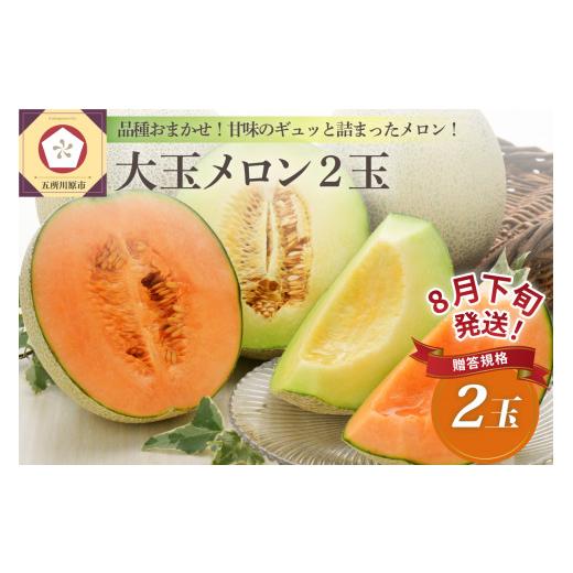 ふるさと納税 メロン メロン青肉 青森県 五所川原市 2026年8月下旬発送 津軽産贈答規格メロン大玉2個 青森メロン 8月下旬発送(21日~末日)