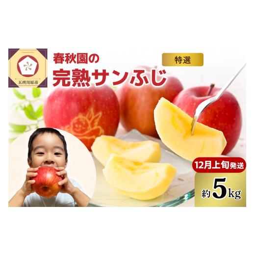 ふるさと納税 りんご 青森県 五所川原市 2026年12月上旬発送 りんご5kg青森産春秋園の最高級「特選」大玉完熟サンふじ 12月上旬発送(1日〜10日)