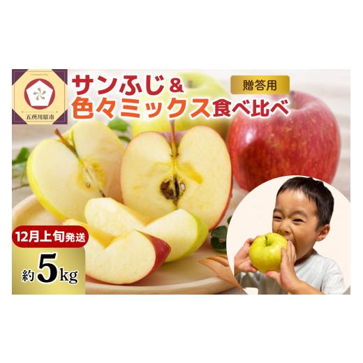 ふるさと納税 りんご 青森県 五所川原市 りんご 贈答 約5kg 2026年12月上旬発送 青森産 完熟 サンふじ & 色々ミックス 12月上旬発送(1日〜10日)