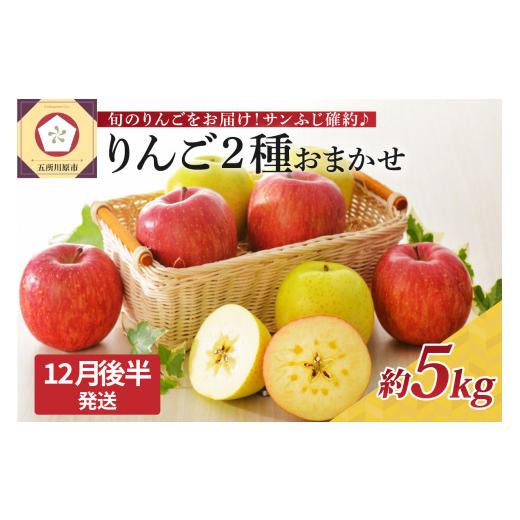 ふるさと納税 りんご 青森県 五所川原市 2025年12月後半発送 りんご 青森産 約5kg サンふじ 確約 品種おまかせ2種以上 贈答用 特選〜特秀 12月後半発送(16日…