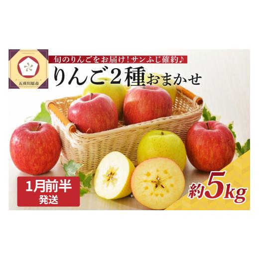 ふるさと納税 りんご 青森県 五所川原市 2026年1月前半発送 りんご 青森産 約5kg サンふじ 確約 品種おまかせ2種以上 贈答用 特選〜特秀 1月前半発送(1日〜1…