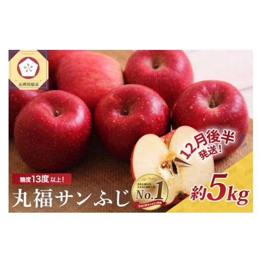 ふるさと納税 りんご 青森県 五所川原市 2025年12月後半発送 りんご 青森産 約5kg 丸福 サンふじ 光センサー 選果 糖度 13度以上 12月後半発送(16日〜末日)