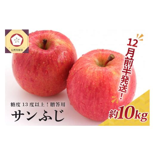 ふるさと納税 りんご 青森県 五所川原市 2025年12月前半発送 りんご 約10kg サンふじ 青森産 糖度 13度以上 贈答用 特選〜特秀 12月前半発送(1日〜15日)