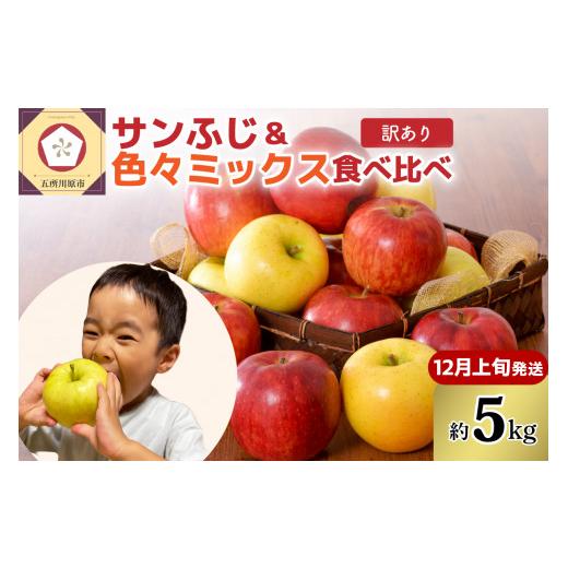ふるさと納税 りんご 青森県 五所川原市 2026年12月上旬発送 訳あり りんご5kg青森産家庭用完熟サンふじ&色々ミックス 12月上旬発送(1日〜10日)