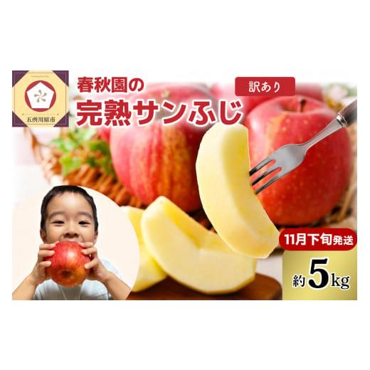 ふるさと納税 りんご 青森県 五所川原市 2025年11月下旬発送 訳あり りんご5kg青森産春秋園の家庭用完熟サンふじ 11月下旬発送(21日〜末日)