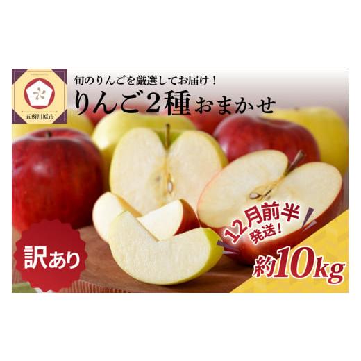 ふるさと納税 りんご 青森県 五所川原市 2025年12月前半発送 訳あり りんご 約10kg 青森産 品種おまかせ2種以上 12月前半発送(1日〜15日)