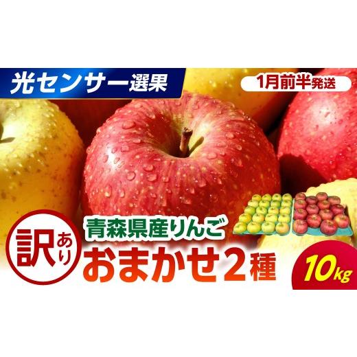 ふるさと納税 りんご 青森県 五所川原市 2027年1月前半発送 訳あり りんご 約10kg 品種おまかせ2種 光センサー選果保証 青森県産 1月前半発送(1日〜15日)