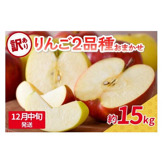 ふるさと納税 りんご 青森県 五所川原市 2025年12月中旬発送 訳あり 旬の美味しいりんご 約15kg 青森産 おまかせ2品種 12月中旬発送(11日〜20日)