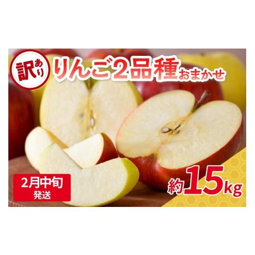 ふるさと納税 りんご 青森県 五所川原市 2026年2月中旬発送 訳あり 旬の美味しいりんご 約15kg 青森産 おまかせ2品種 2月中旬発送(11日〜20日)