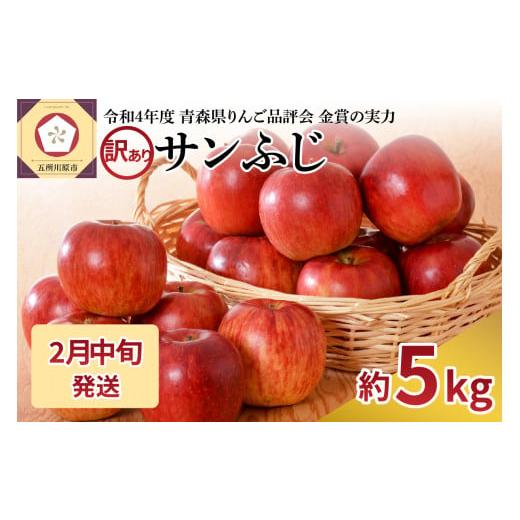 ふるさと納税 りんご 青森県 五所川原市 2026年2月中旬発送 訳あり りんご 青森産 約5kg サンふじ 2月中旬発送(11日〜20日)