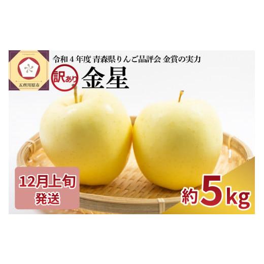 ふるさと納税 りんご 青森県 五所川原市 2025年12月上旬発送 訳あり りんご 青森産 約5kg 金星 12月上旬発送(1日〜10日)