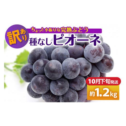 ふるさと納税 ぶどう 青森県 五所川原市 2025年10月下旬発送 訳あり ぶどう ピオーネ 種なし 1.2kg 程度(小振り・2房) 10月下旬発送(21日〜末日)