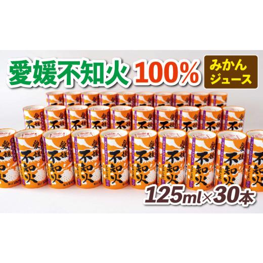 ふるさと納税 果汁飲料 みかん 愛媛県 宇和島市 みかんジュース 愛媛 不知火 ( デコポン と同品種) 125ml ×30本 愛工房 100% ジュース 紙パック フルーツ ジ…