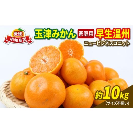 ふるさと納税 果物類 みかん 愛媛県 宇和島市 愛媛 みかん 早生 温州 10kg 家庭用 サイズ不揃い 玉津みかん ニュービジネスユニット 先行予約 早生温州 温州み…