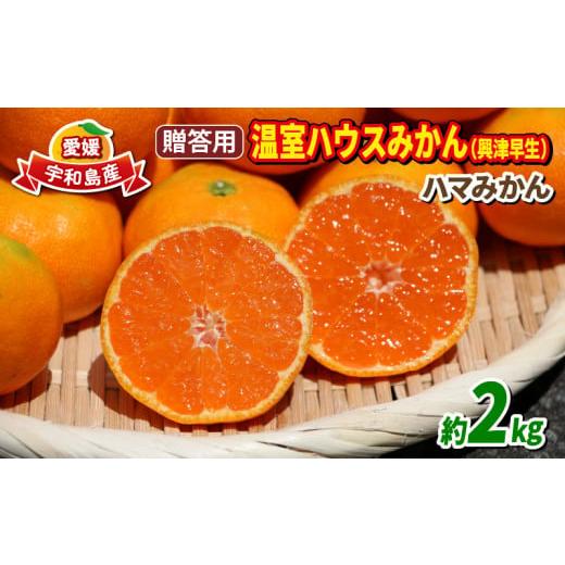 ふるさと納税 果物類 みかん 愛媛県 宇和島市 温室みかん 興津 早生 贈答用 2kg ハマみかん 先行予約 S~Mサイズ 温州みかん みかん 興津早生 早生温州 ハウス…