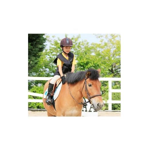 ふるさと納税 大阪府 四條畷市 乗馬クラブ　グラシアス　体験乗馬教室(1名様分)【1052887】 