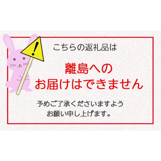 ふるさと納税 大阪府 寝屋川市 ハーバリウム用カラーシリコンオイル Nizi色7色 1000ml 7本｜インテリア 趣味 DIY 自主制作 自由研究 アート デザイン [0135]｜furusatochoice｜07